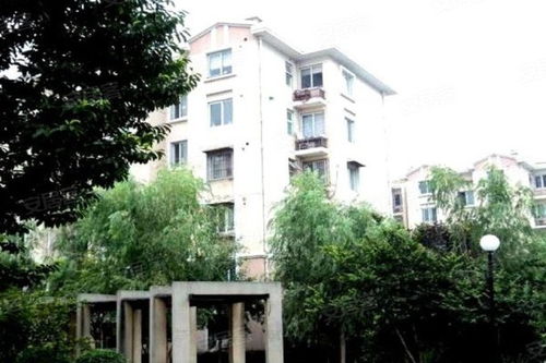 安居古浪新苑 东区 优点 不足,安居古浪新苑 东区 怎么样,安居古浪新苑 东区 周边房产中介经纪人评价