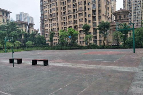 香林豪郡优点 不足,香林豪郡怎么样,香林豪郡周边房产中介经纪人评价